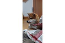 写真15995_1