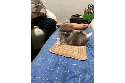 写真16083_1
