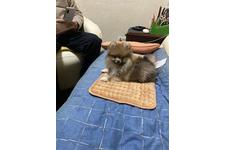写真16083_1