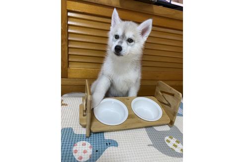 写真17097_3