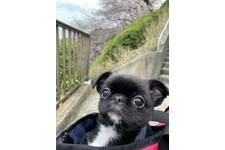 写真_3