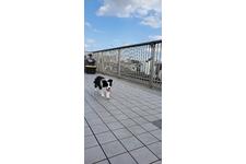 写真_2