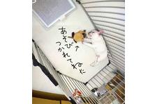 写真_3