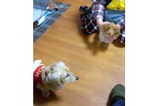 写真_4