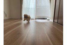 写真_2