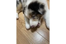 写真_3