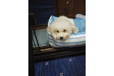写真_2