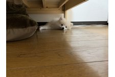 写真_2