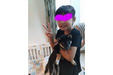写真_3