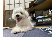 写真_2