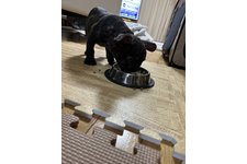 写真_2