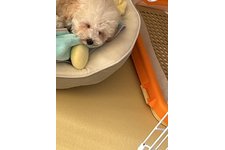 写真_3