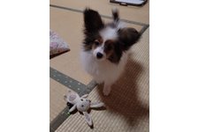 写真_2