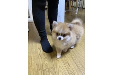 写真_1
