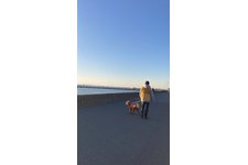 写真_1
