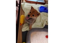 写真_2