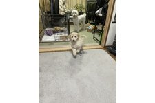 写真_2