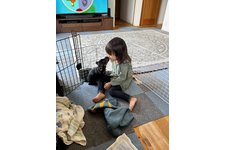 写真_3