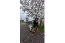 写真_3