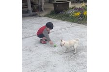 写真_1