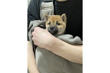 写真_2