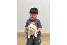 写真_1