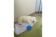 写真40091_1