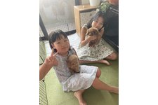写真40246_4