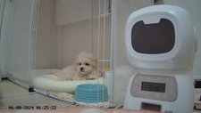 写真40300_1