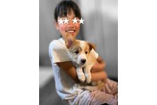 写真_3