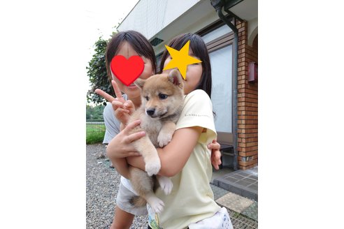 写真40955_2