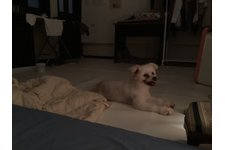 写真_1