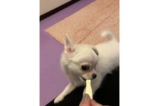 写真_1