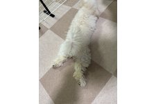 写真_2