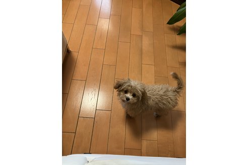 写真43003_2