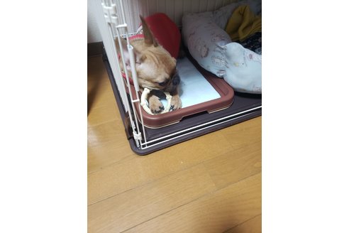 写真43752_2