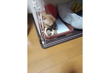写真_2