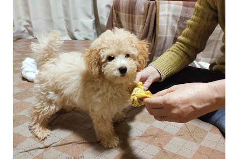 写真43867_1