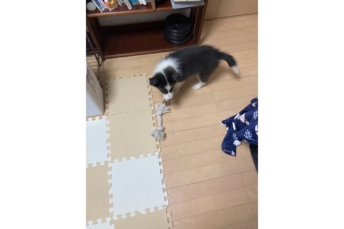 写真43969_4