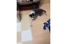 写真_4