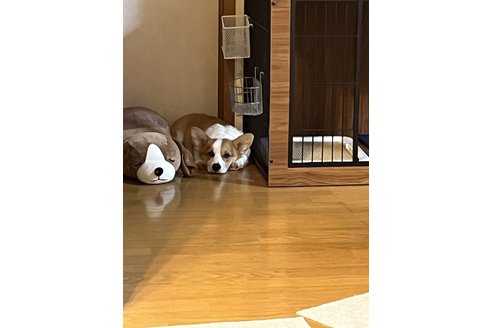 写真44022_2
