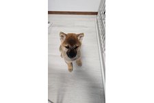 写真44107_1