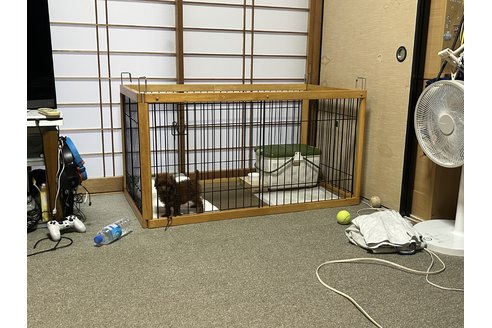 写真44149_3