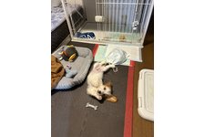 写真_2