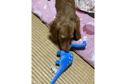 写真44573_1