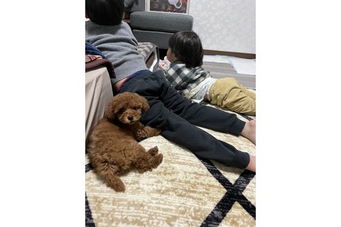 写真44577_3