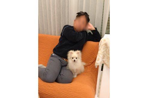写真44685_2