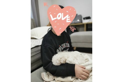 写真44836_4