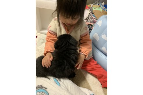 写真44882_2