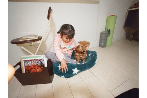 写真44970_1